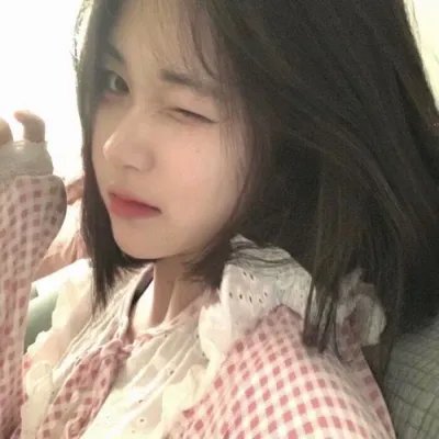 最后的雨林